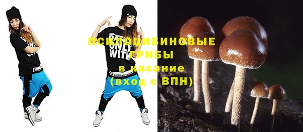 дживик Белоозёрский