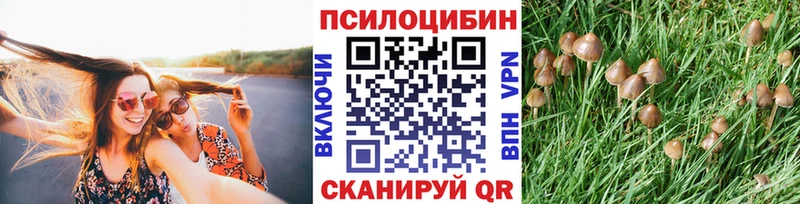 Галлюциногенные грибы MAGIC MUSHROOMS  продажа наркотиков  Калининец 